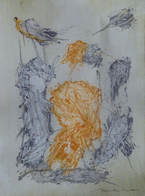 Birds in the sky, 21x29 cm by Frederic Belaubre