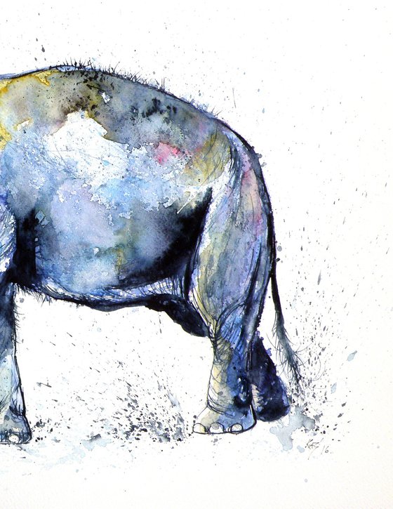 Elephant
