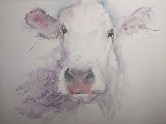 Cow portrait