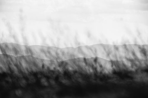 perspectives blurred by windy grass by Christian  Schwarz