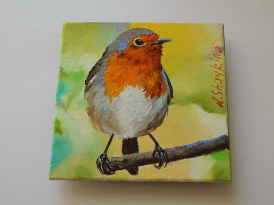 Robin