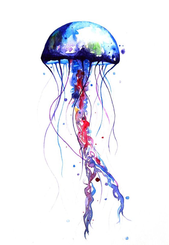 Jellyfish