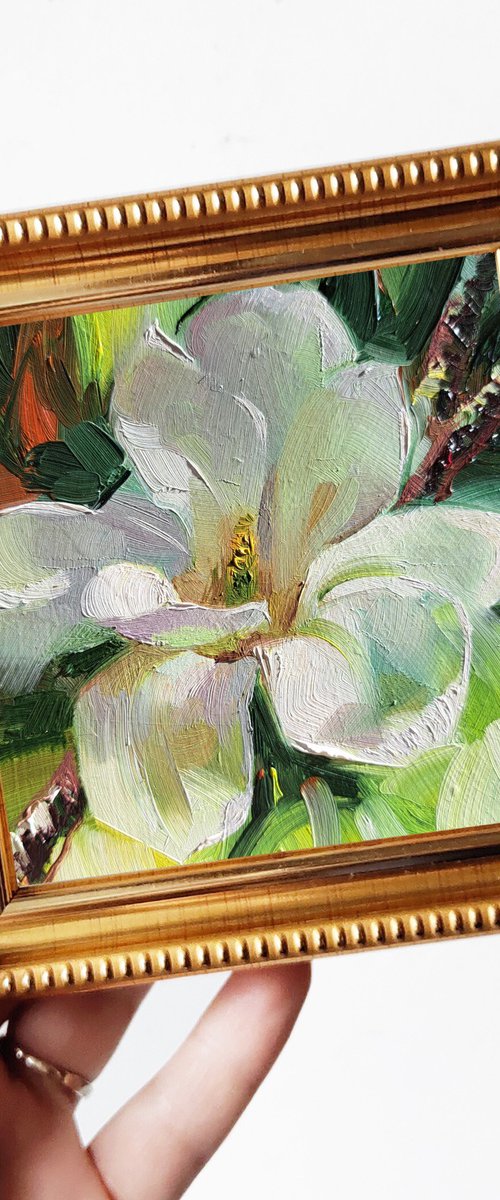 Magnolia flower by Nataly Derevyanko