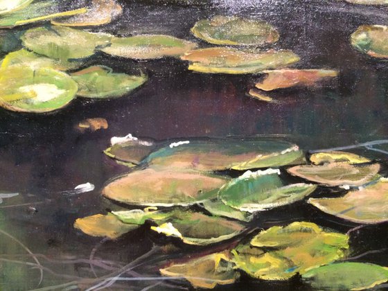 Waterlilies