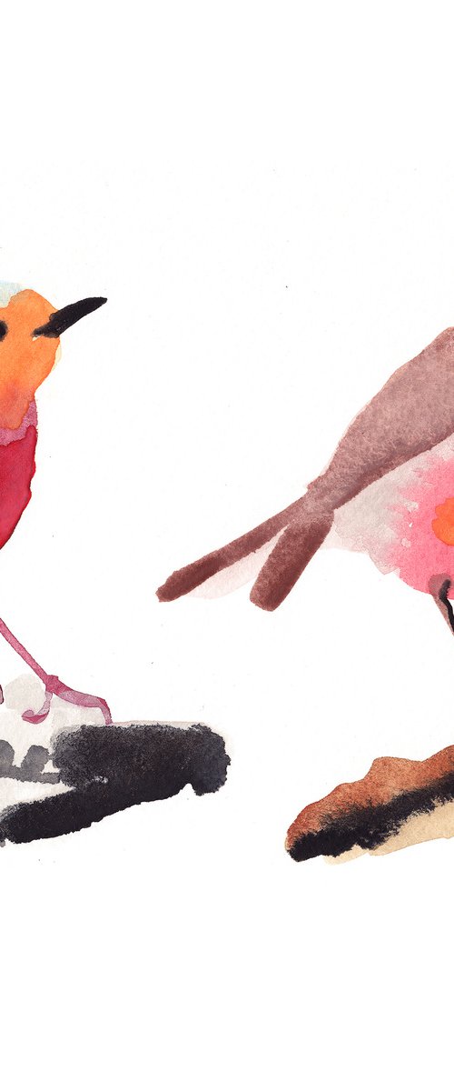 Robins by Suzie Cumming