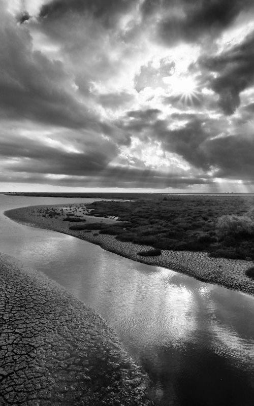 the magic of the Camargue by Christian  Schwarz