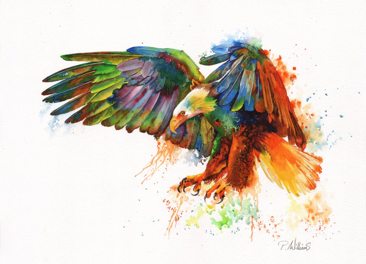 Rainbow Warrior Bald Eagle Painting by Peter Williams
