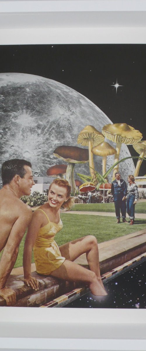 Dream Vacation by Paper Draper