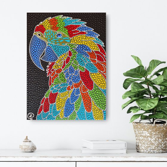 Rainbow Macaw