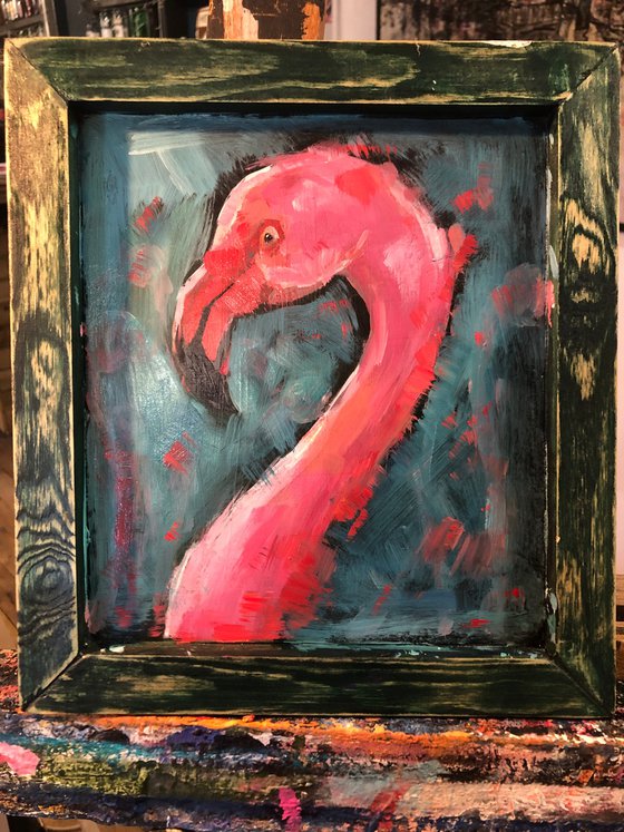 Flamingo