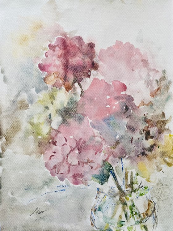 Hydrangea 1