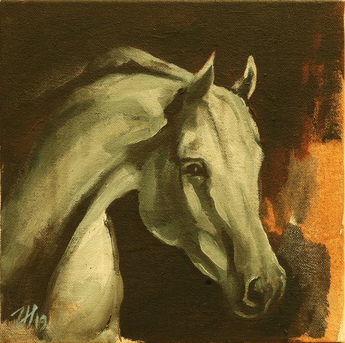 Equine Head Arab White (study 32) by Zil Hoque