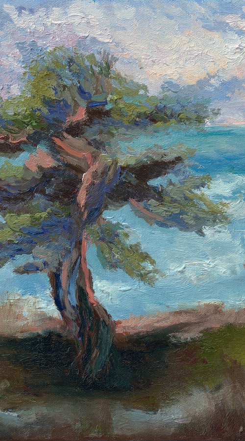 Summer Seascape Oil Art — Crimean Juniper by Anna Miklashevich