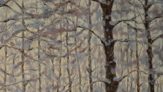 The Winter Morning In The Forest - winter landscape painting