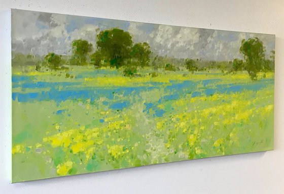 Summer Field, Original oil painting, One of a kind, Signed