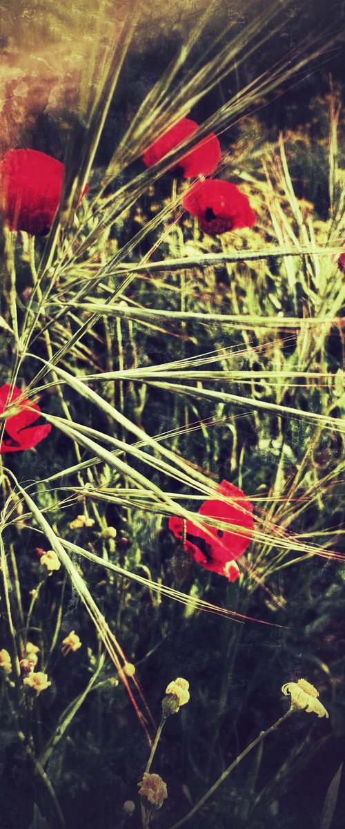 Spring prelude by Nektaria Thalia