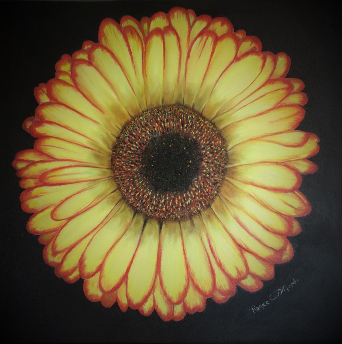 Flower Burst by Renee DiNapoli