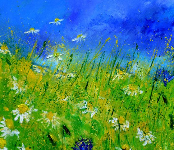 Cornflowers and daisies