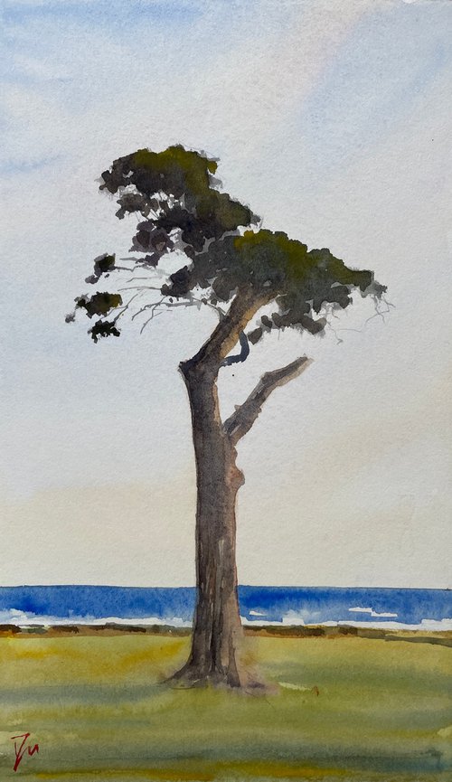 The lone tree by the sea by Shelly Du