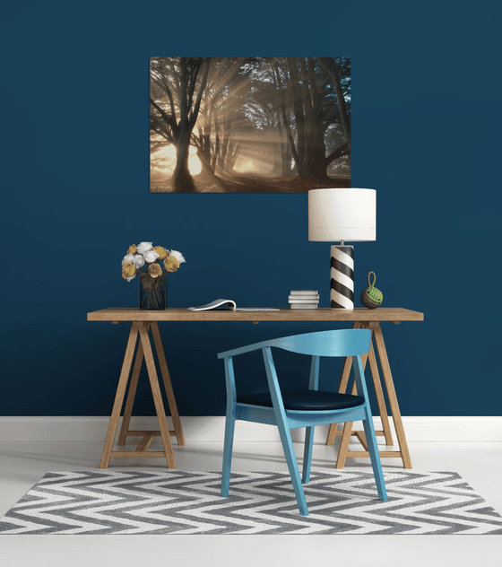 Cypress Tree Sunrise