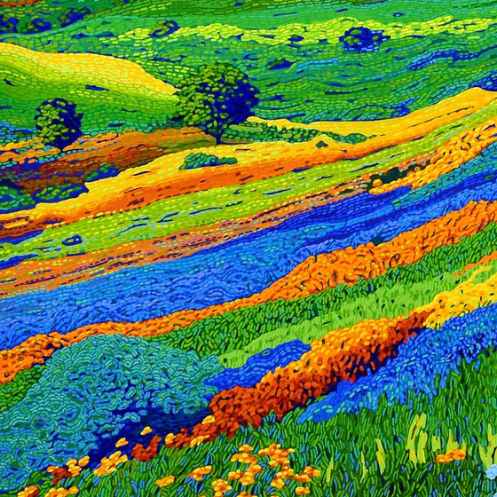 California Hills In Bloom