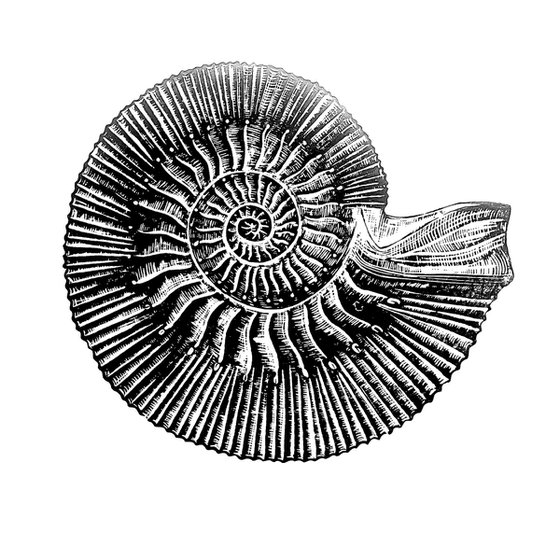 Sea life Triptych II