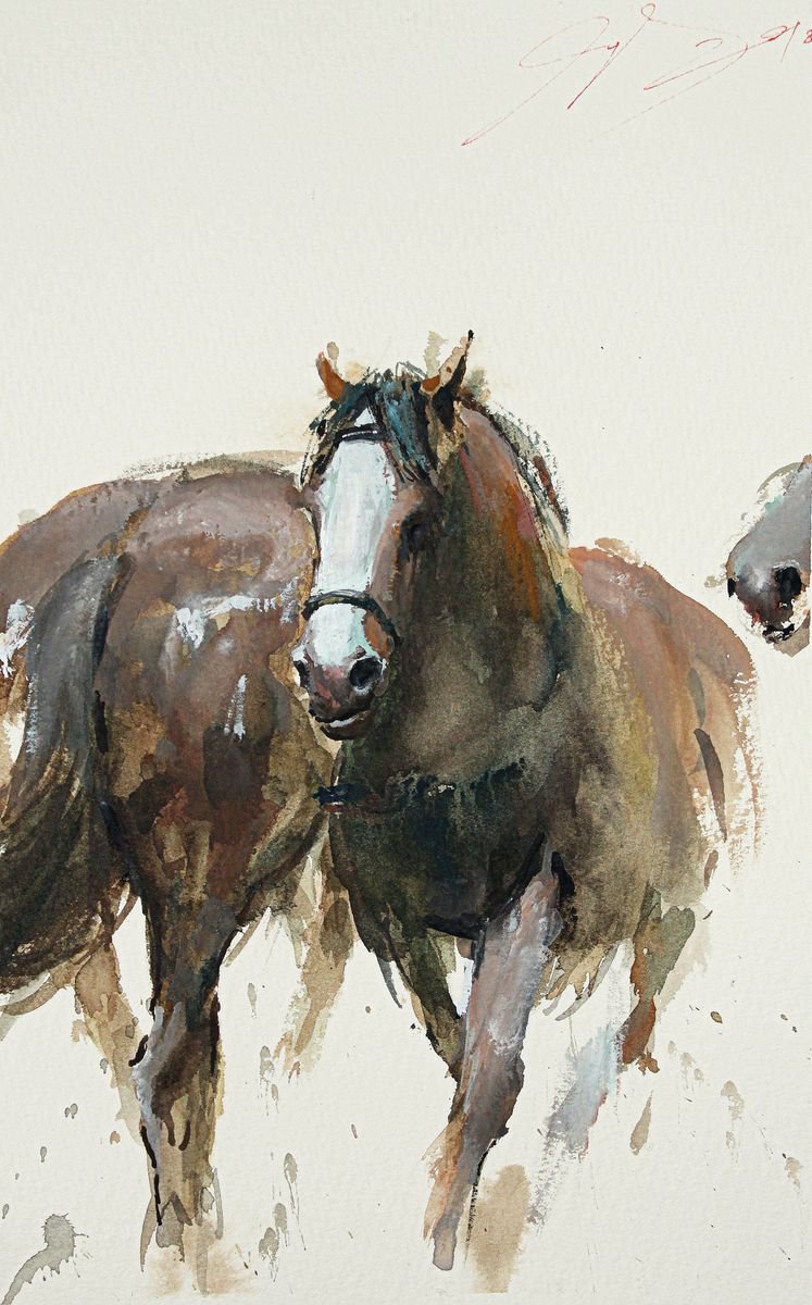 Wild Horses by Maximilian Damico