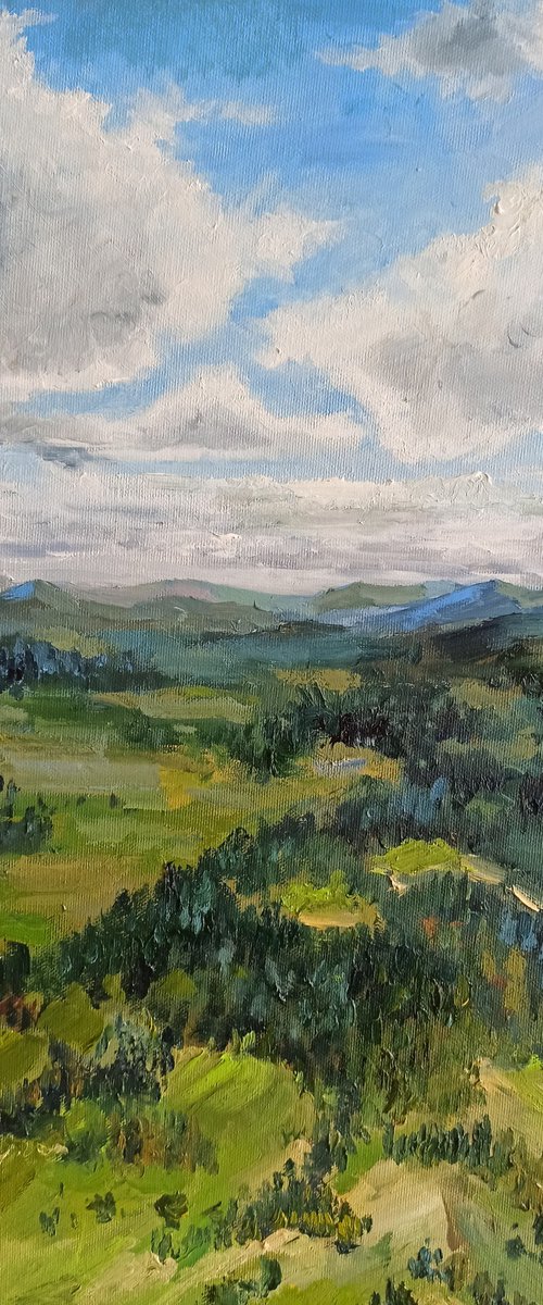 Mountains Painting Original Art National Park Forest and fields 20x32'' by Leyla Demir