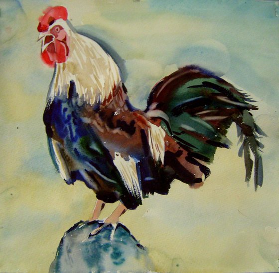Cock, watercolor painting 38x36 cm, gift art!