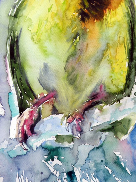 Masked weaver bird
