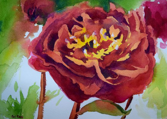 Red Peony