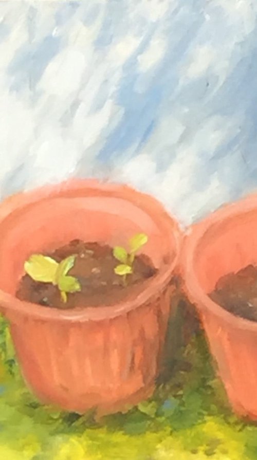 Squash Plants by Michael Gillespie