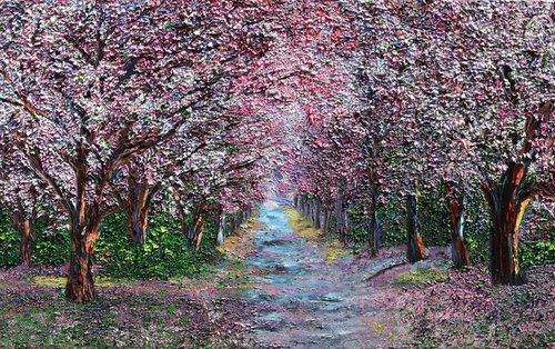 Cherry Blossom by Kenneth Halvorsen