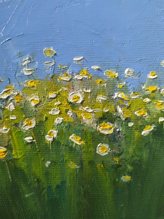 Daisies