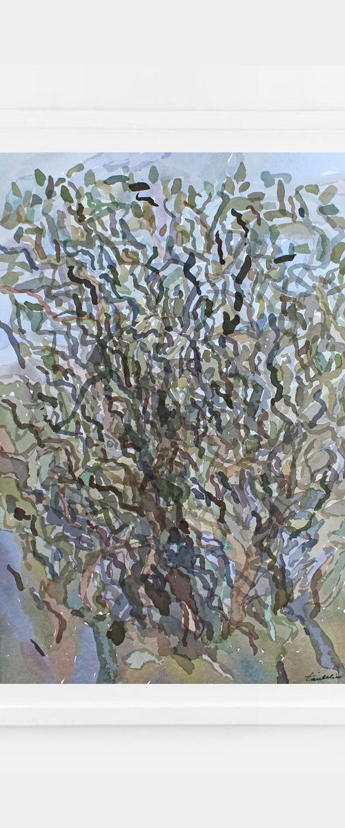Lonely tree by Tanbelia