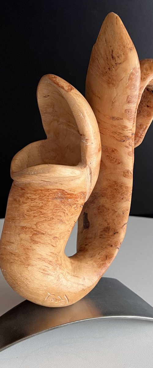 Nepenthes #989 by Roland Köpfer