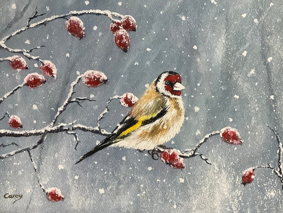 Goldfinch by Darren Carey