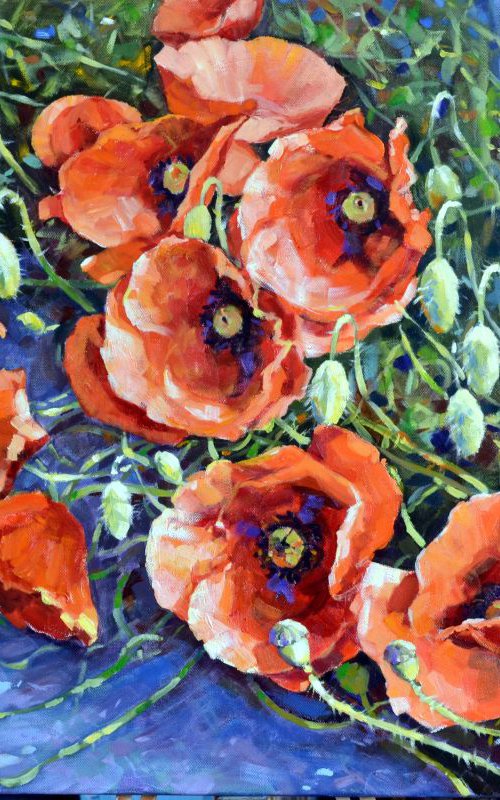 Poppies 2. Sale by Irina Ushakova