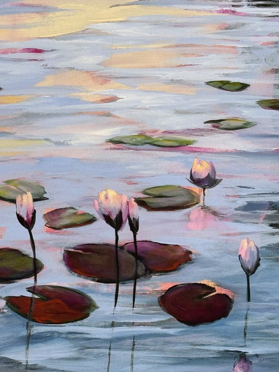 Water Lilies Land 1