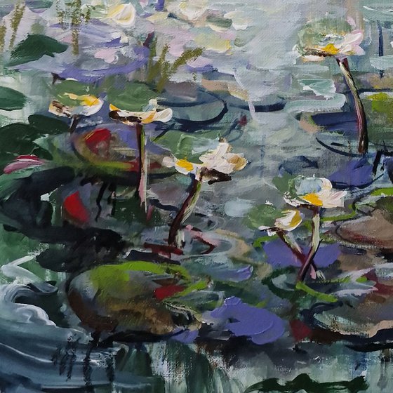 Water lilies 2