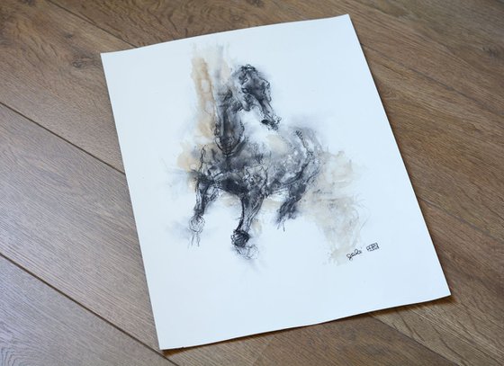 Equine Nude 70t