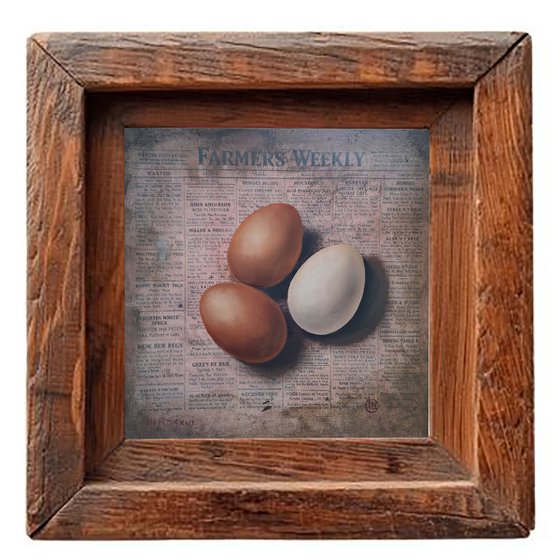 Farmhouse Chronicle Three Farm Eggs