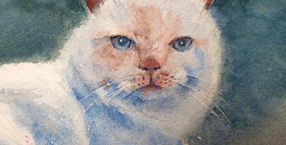 SNOWWHITE CAT  original watercolor 41X31 2021.046
