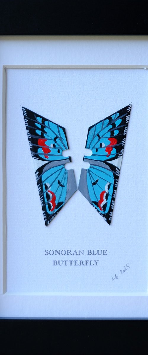 Sonoran Blue by Lene Bladbjerg