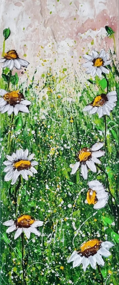 Field of Daisies by Cinzia Mancini