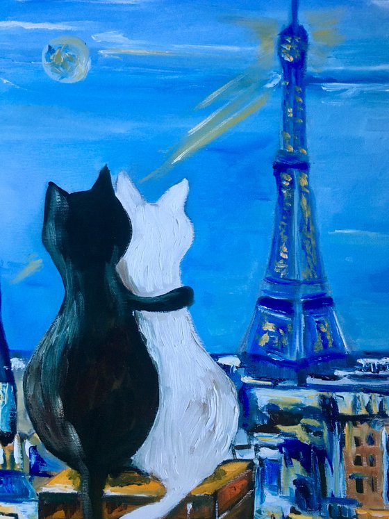 Cats in Paris. Travel to Paris, Parisian roofs , romantic evening.