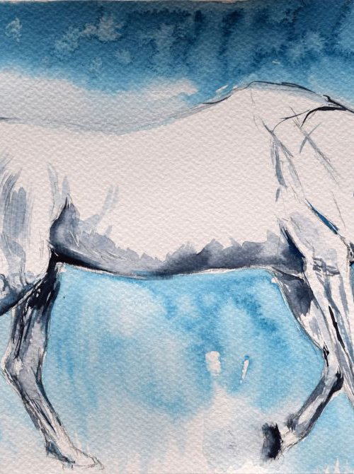 White on blue / Equine Horse  Art  Modern Contemporary Wall Art Home Decor  by Anna Sidi by Anna Sidi-Yacoub