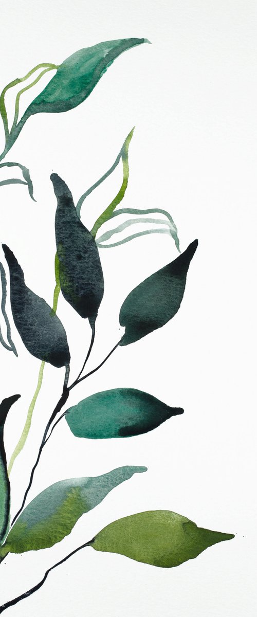 Plant Study No. 91 by Elizabeth Becker