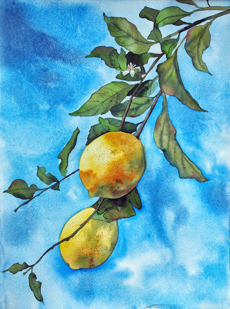 Lemon branch - original watercolor artwork by Delnara El