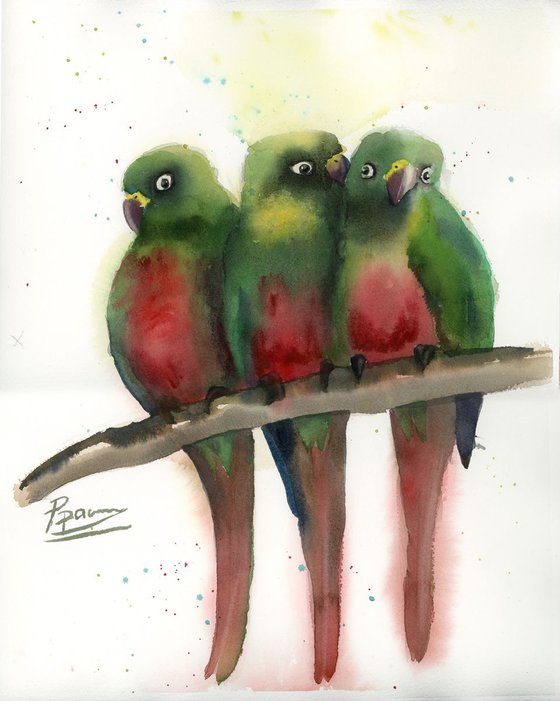 Parrots